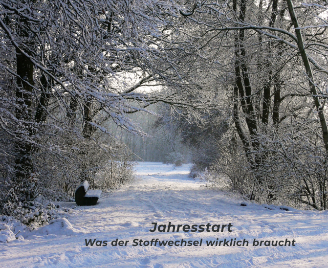 Jahresstart: Was der Stoffwechsel wirklich braucht